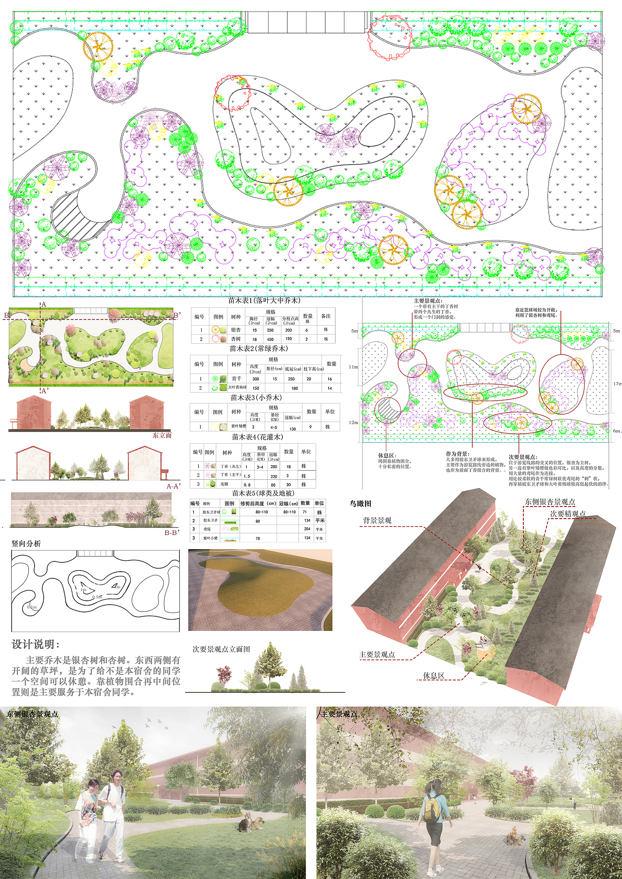 园林设计(宿舍楼前的小绿地)