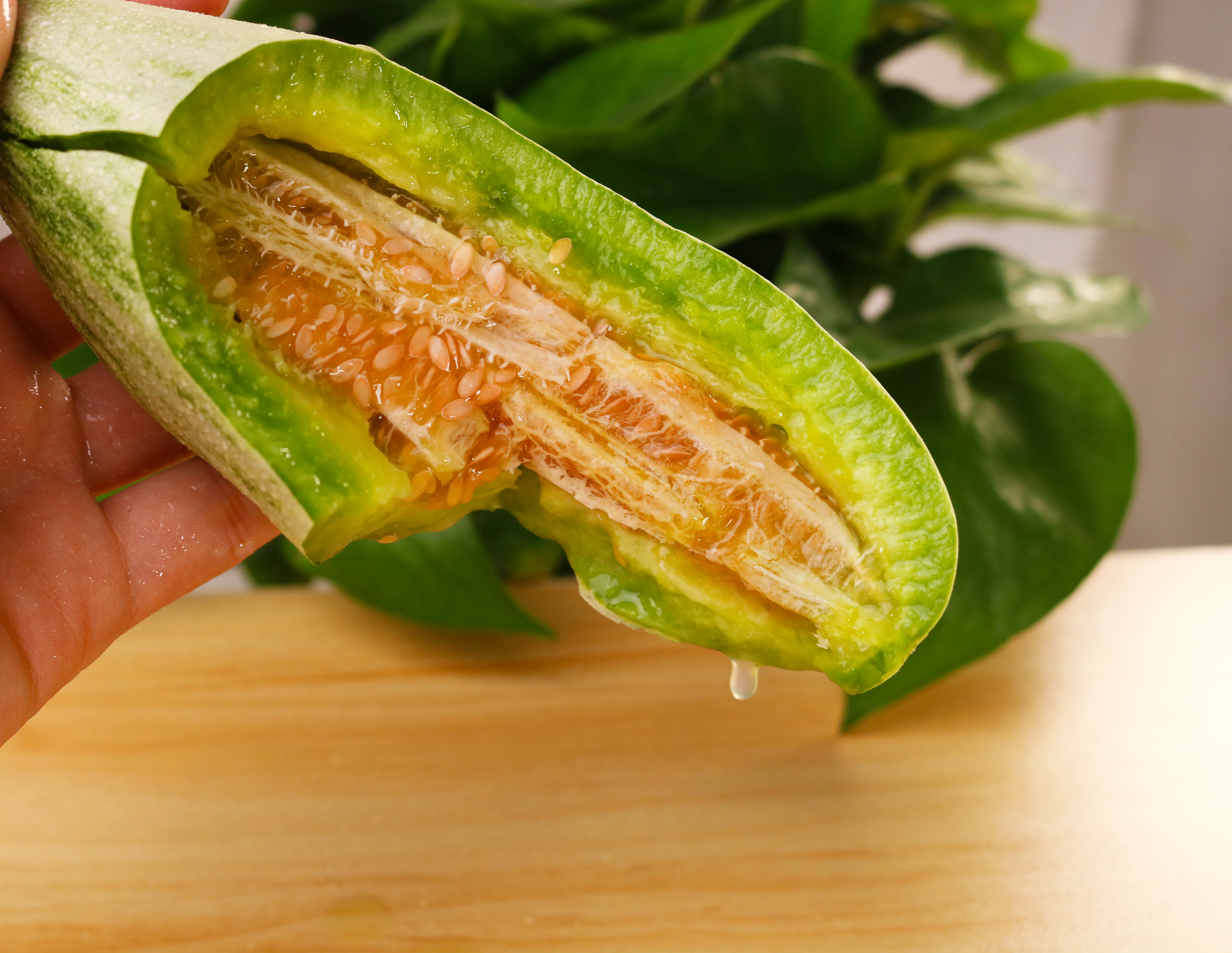 志云网络-羊角蜜瓜