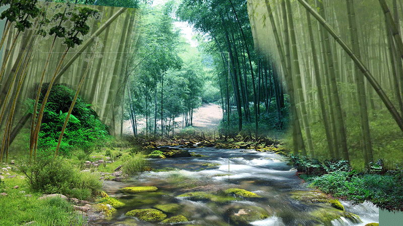 森林壁纸 动态图片