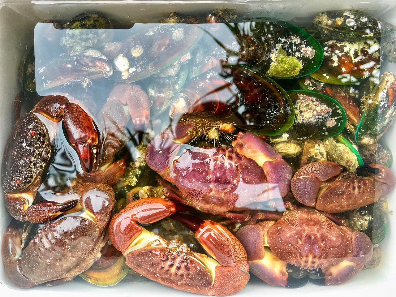 愿归来仍是少年