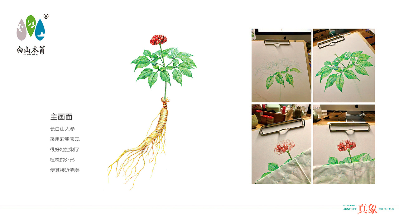 人参片礼盒及塑料包装（图ZMTQ0OTMxMDYw） - 包装 - 站酷设计师真象设计原创素材 - 站酷ZCOOL