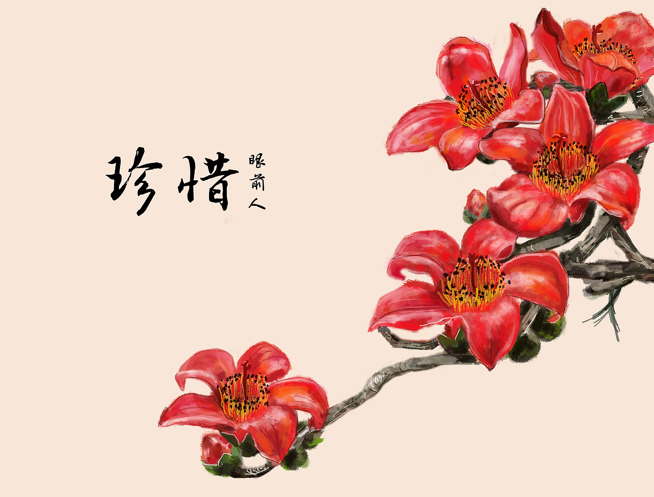 木棉花|插画|创作习作|中珊baby_原创作品-站酷zcool