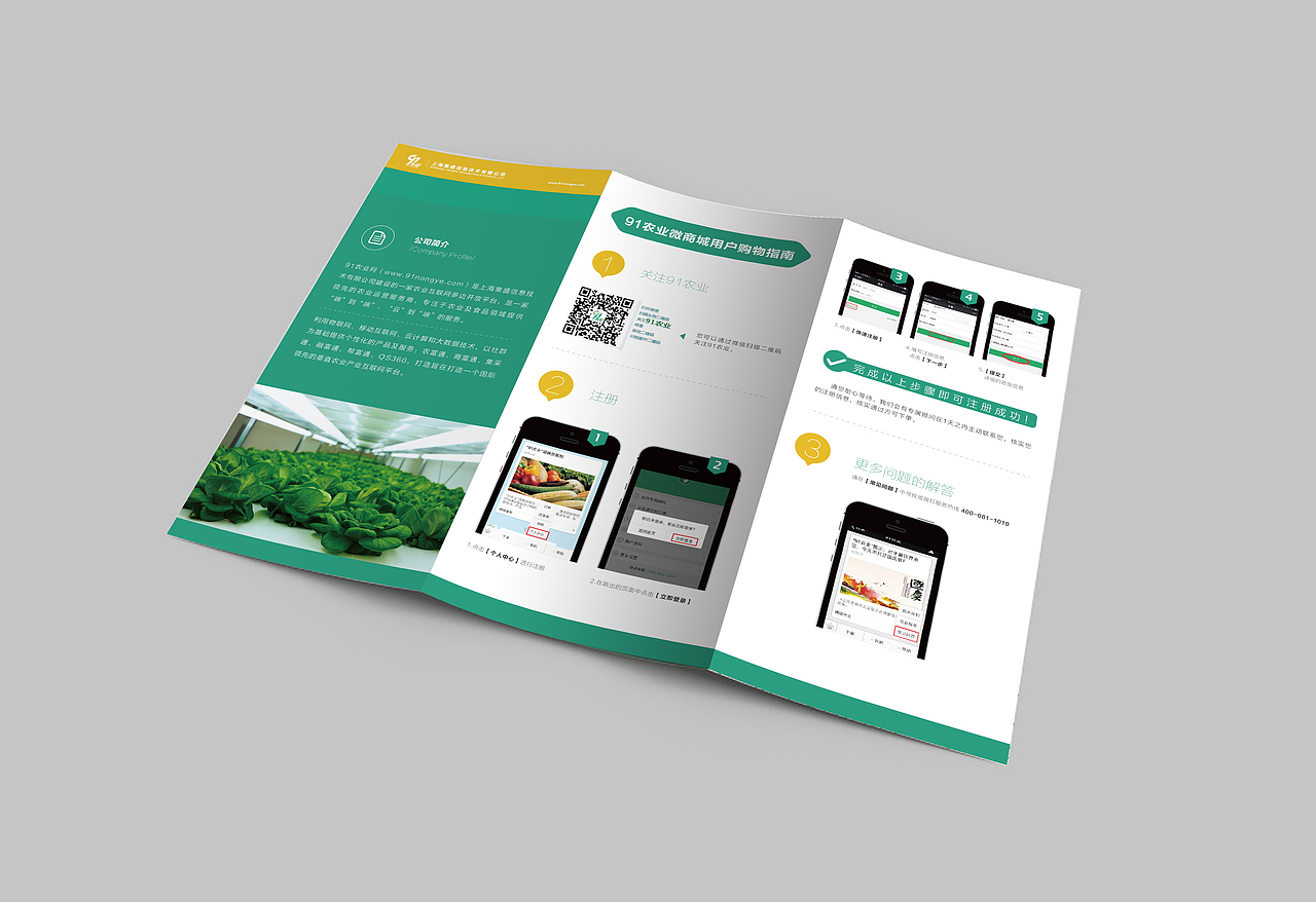 公司的折页视觉设计