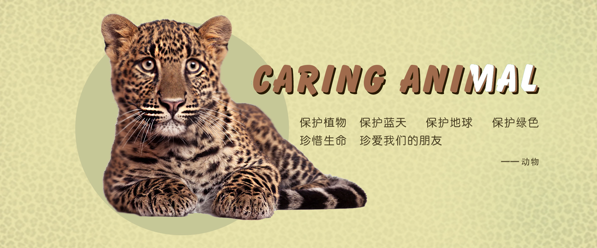 爱护动物-banner