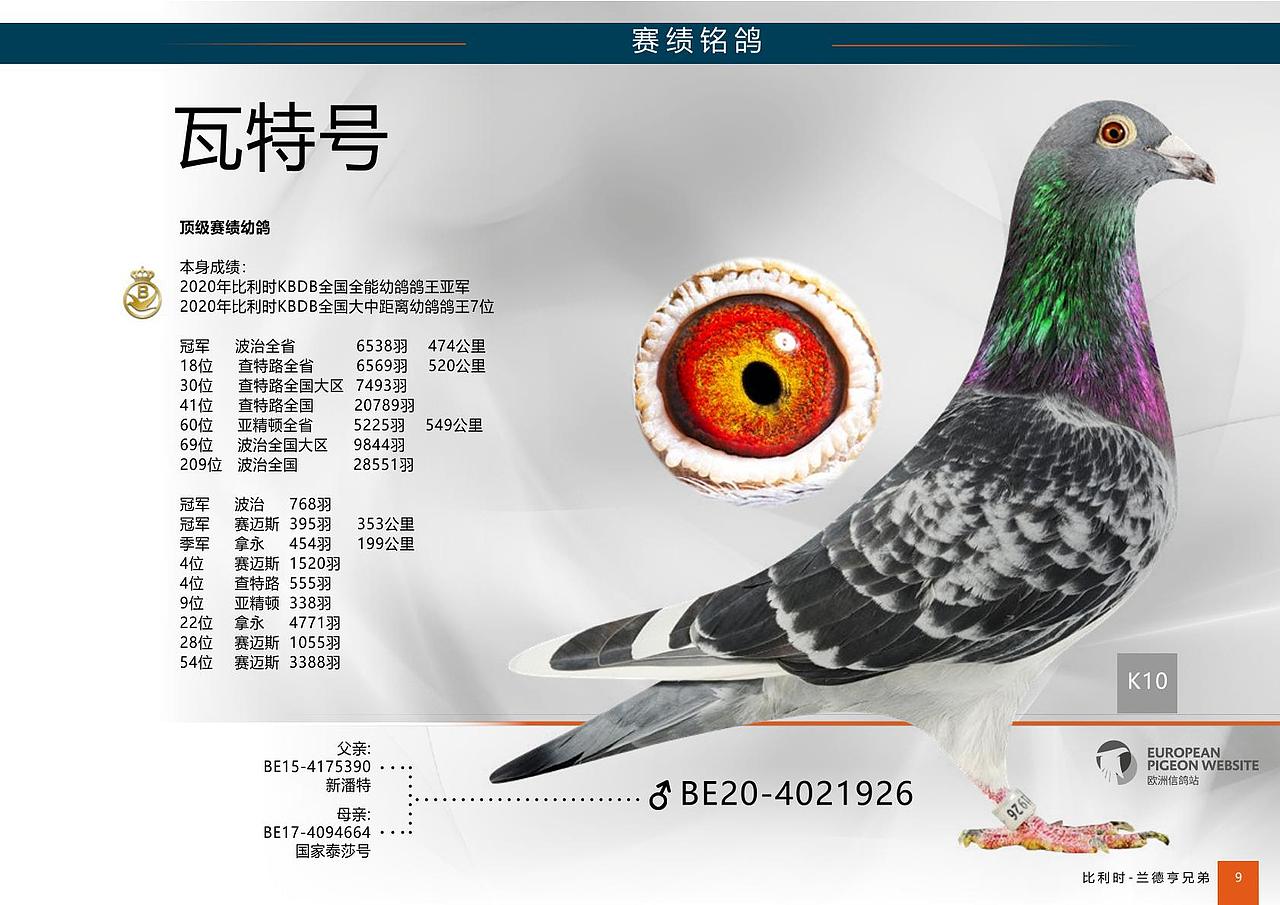 中文畫冊（圖ZMjQ1MDMxNzE2） - 書籍/畫冊 - 站酷設(shè)計師花綴磨墨原創(chuàng)素材 - 站酷ZCOOL