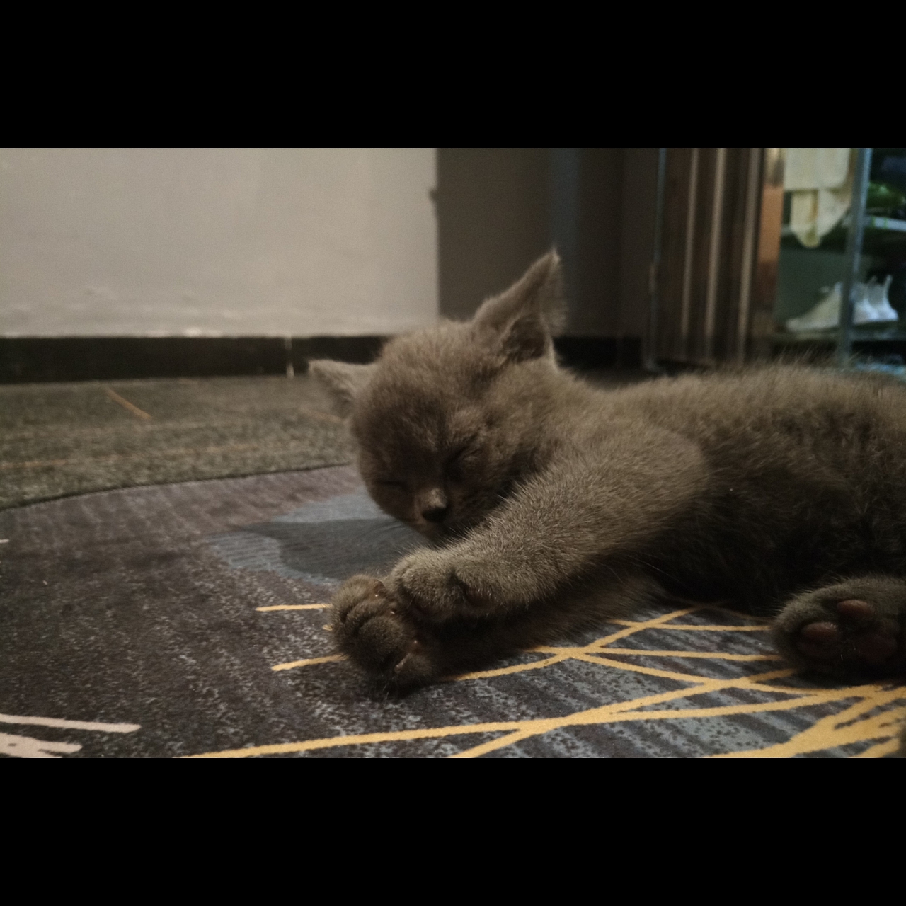 ↑(地毯换掉啦 位置尺寸还是同设计图)