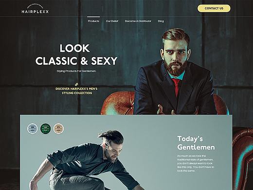 hairplexx 护发素网站home页面设计