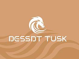 冲锋衣品牌设计 DESSDT