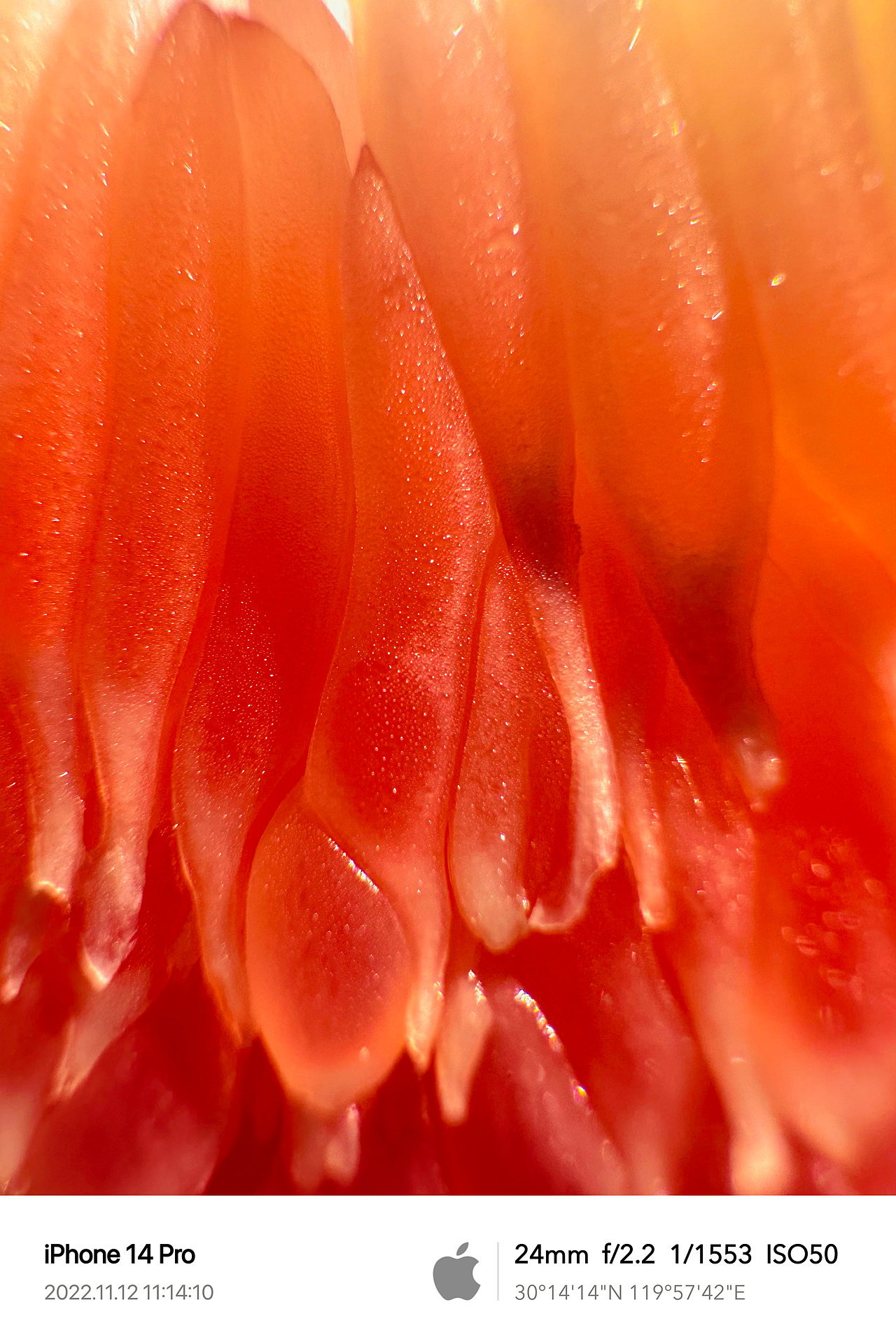 Clint手机摄影/生活观察2022Q4（图ZMzQ1ODI5Mzcy） - 人文/纪实摄影 - 站酷设计师Clint克林原创素材 - 站酷ZCOOL