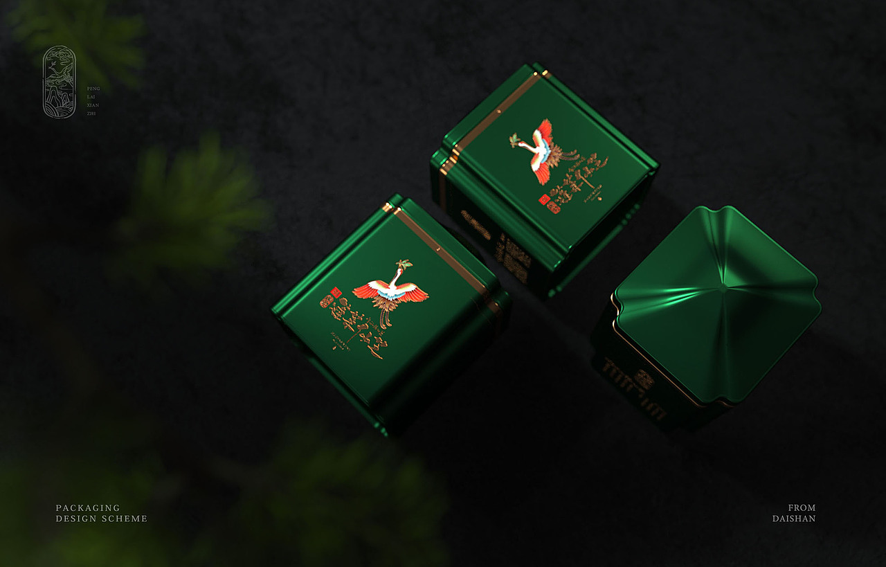 释放种子的力量/2020作品合集