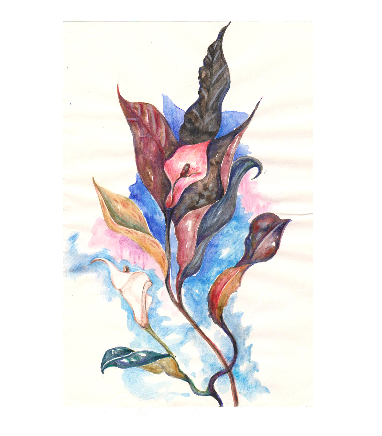 那些年的水彩彩铅油画棒插画(学生时代作品)