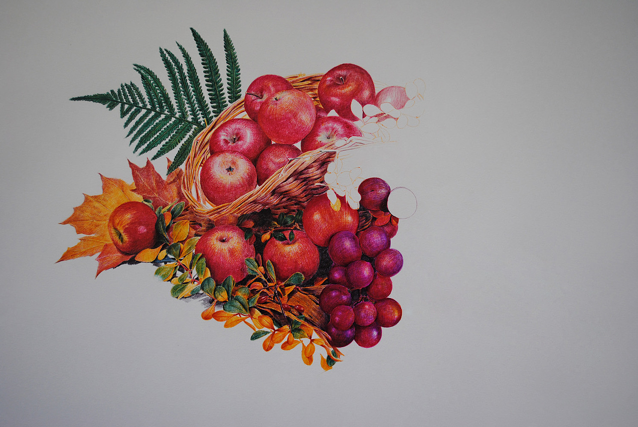 OY彩色圆珠笔画60小时作品