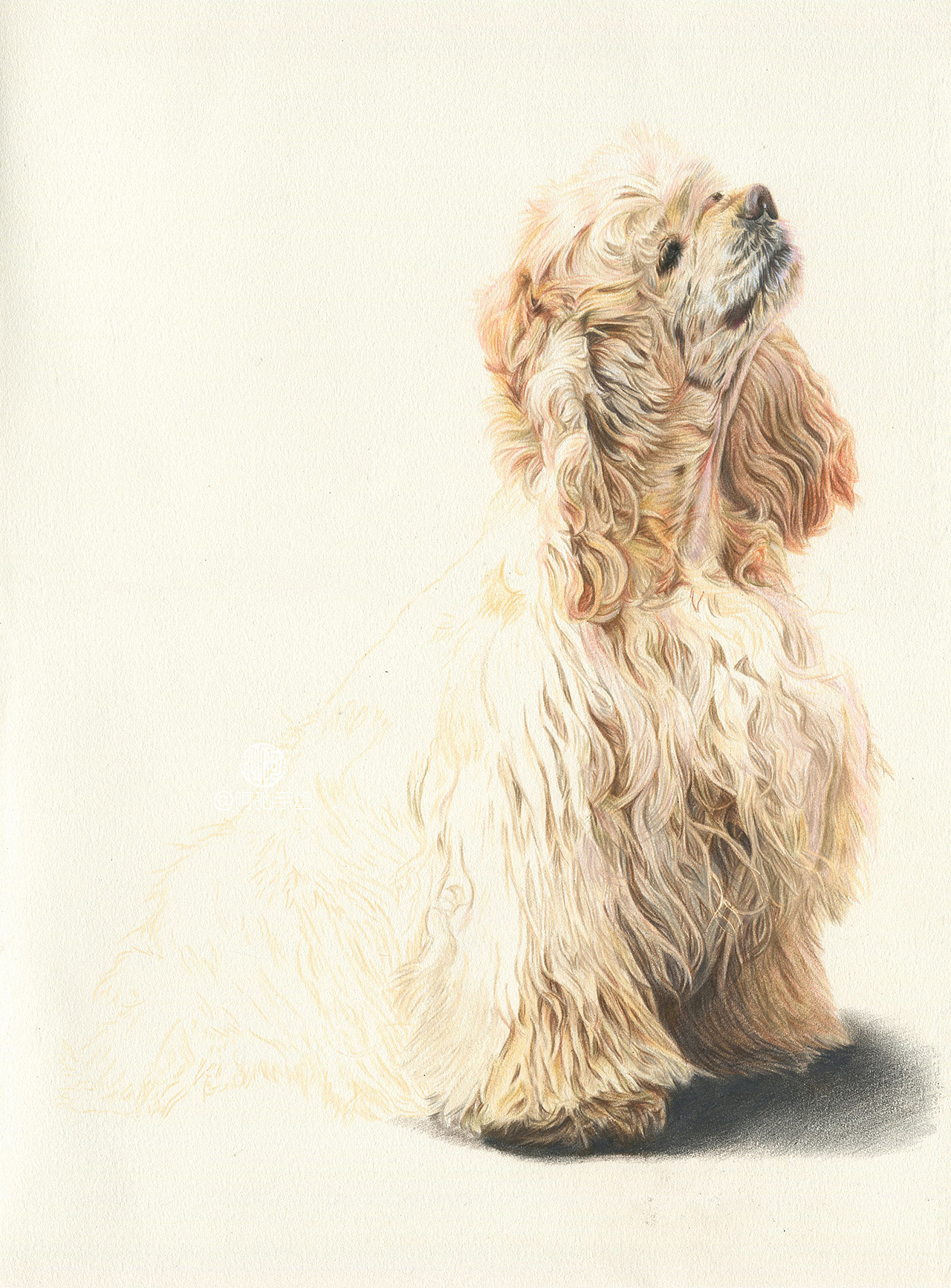 三只小型犬-阿沁作品（图ZMTEwOTYzODEy） - 绘画 - 站酷设计师煜芮原创素材 - 站酷ZCOOL