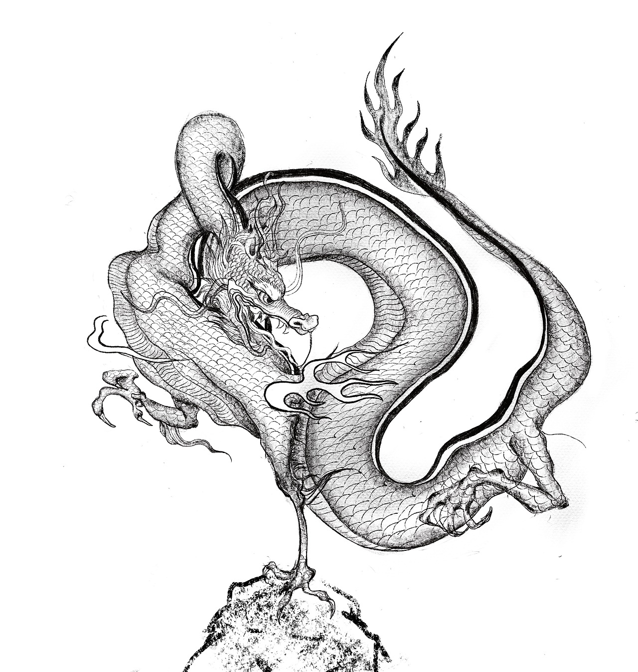 中国四兽-青龙白虎朱雀玄武 手绘插画