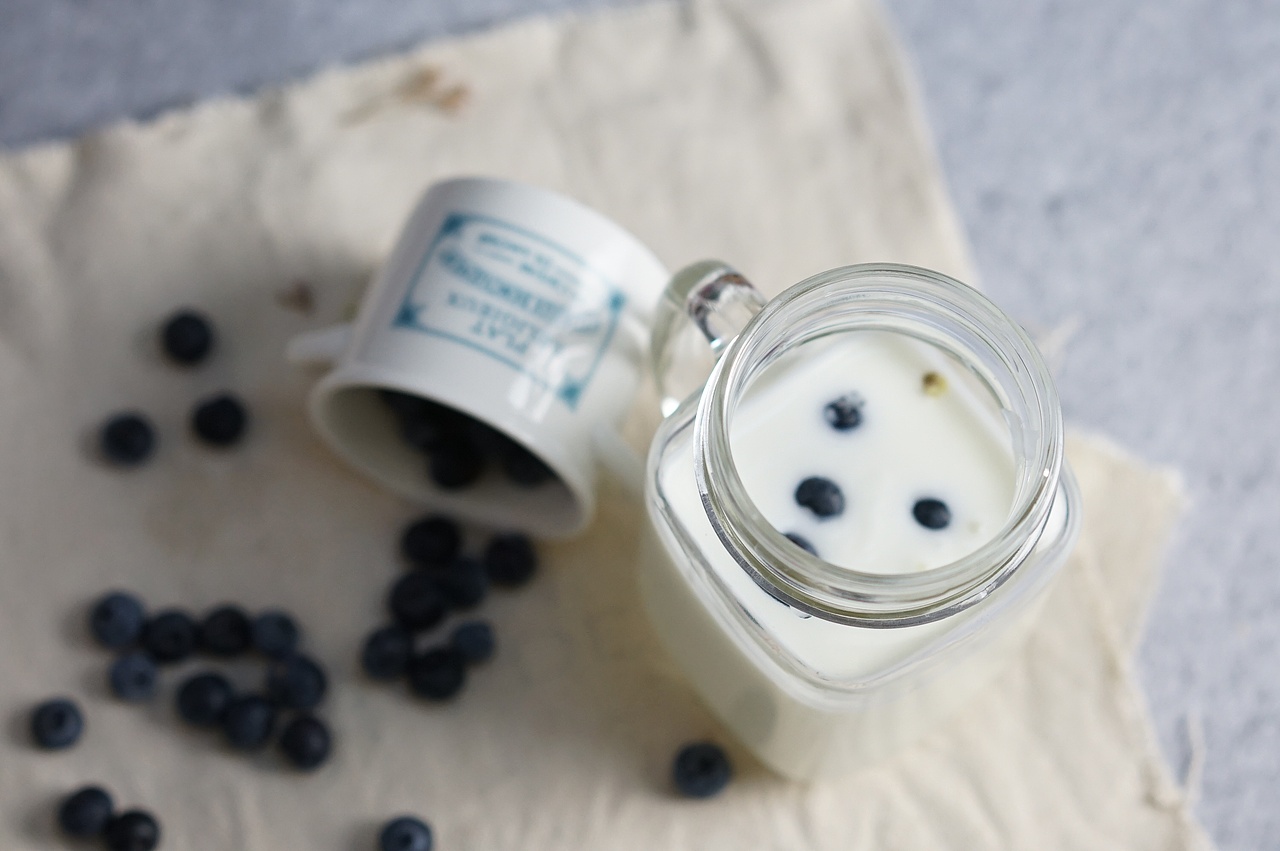 黑眼豆豆 面包拍摄