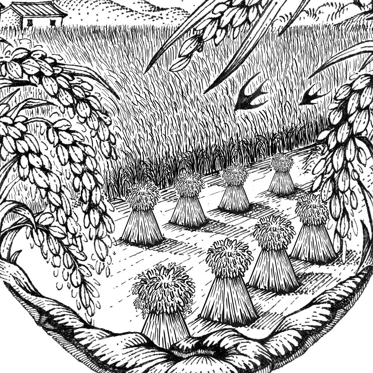 04 br>傍晚&鲫鱼 br>灵活游走,照料每一刻成长 br>_ br>当黑土地泛起