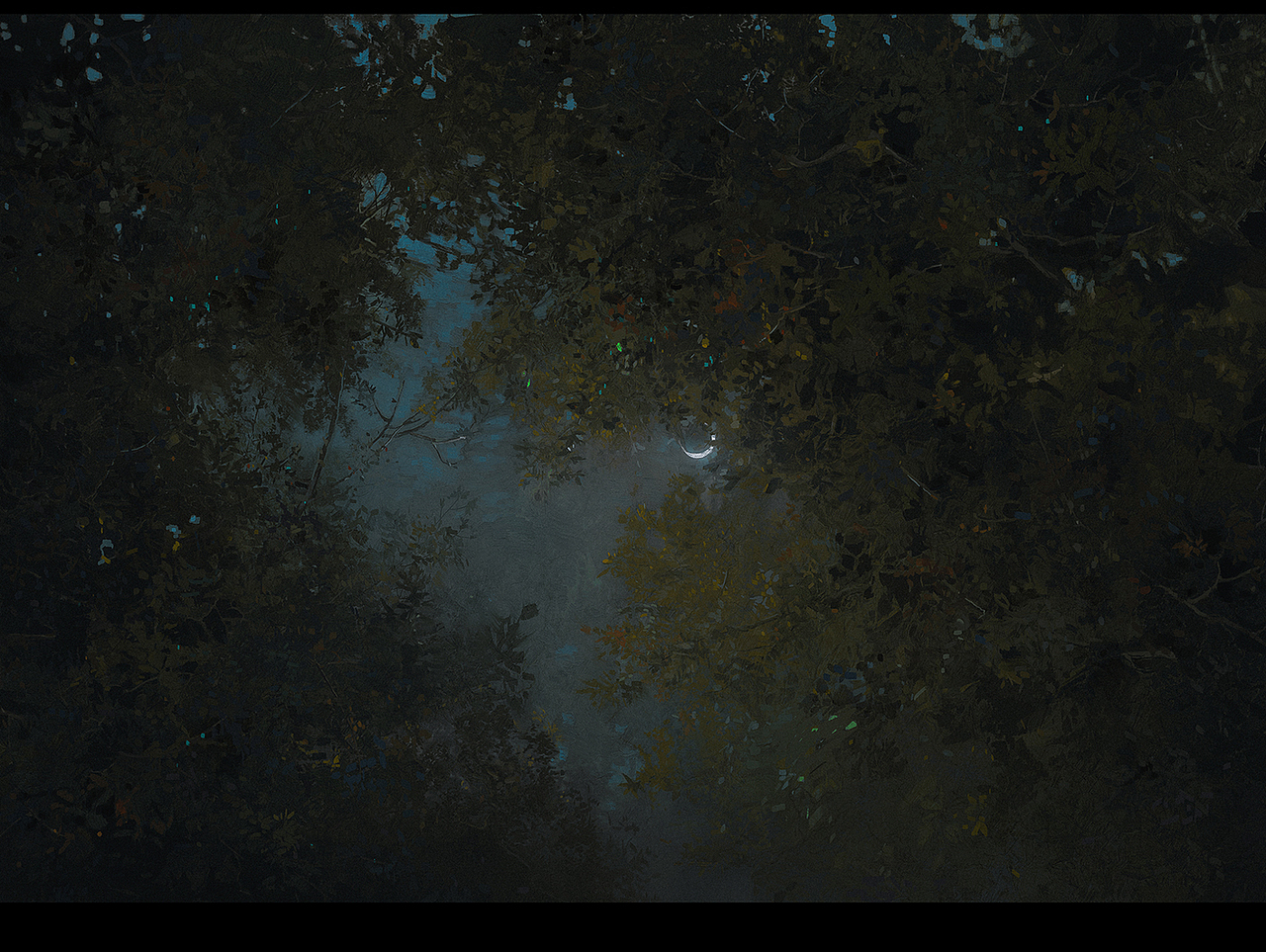 森林有一场大雨