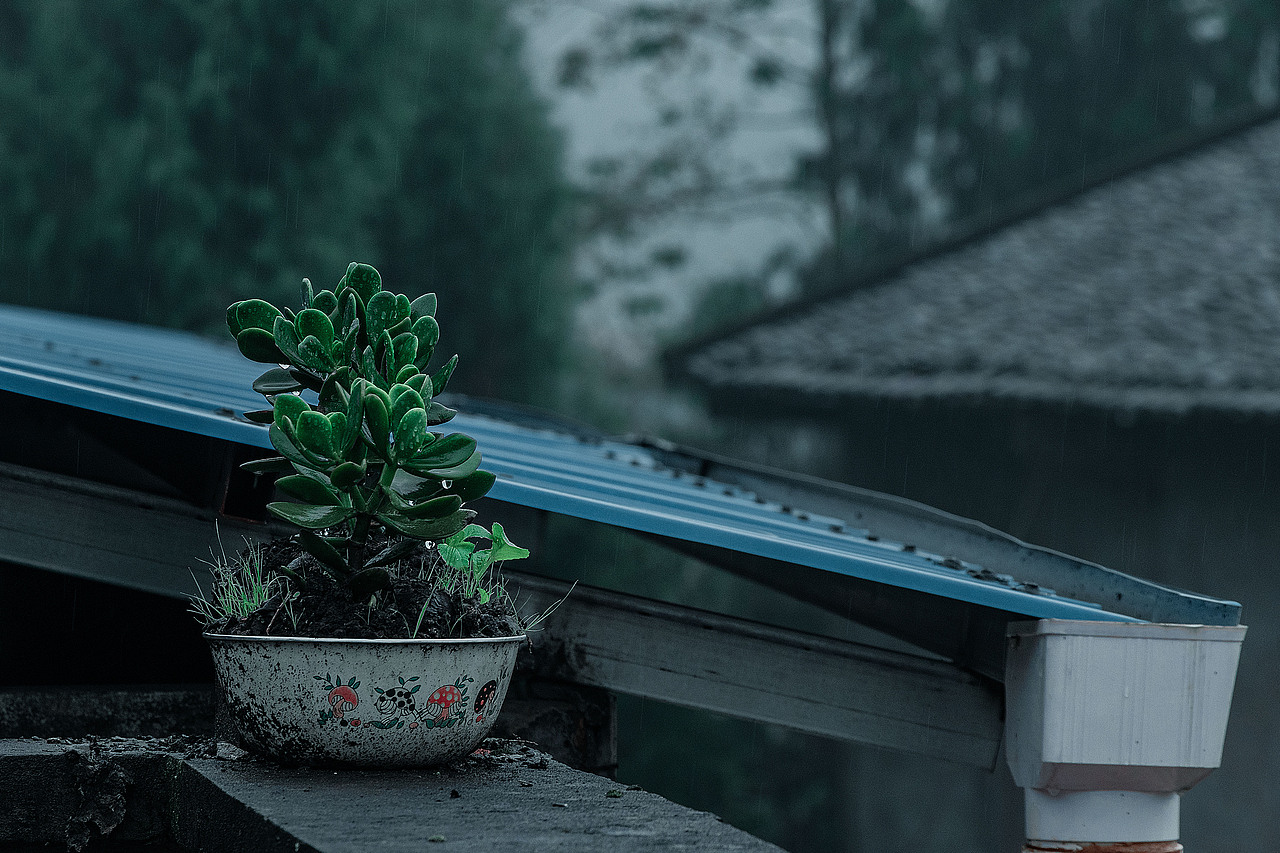 天青色等烟雨,我在山里等你