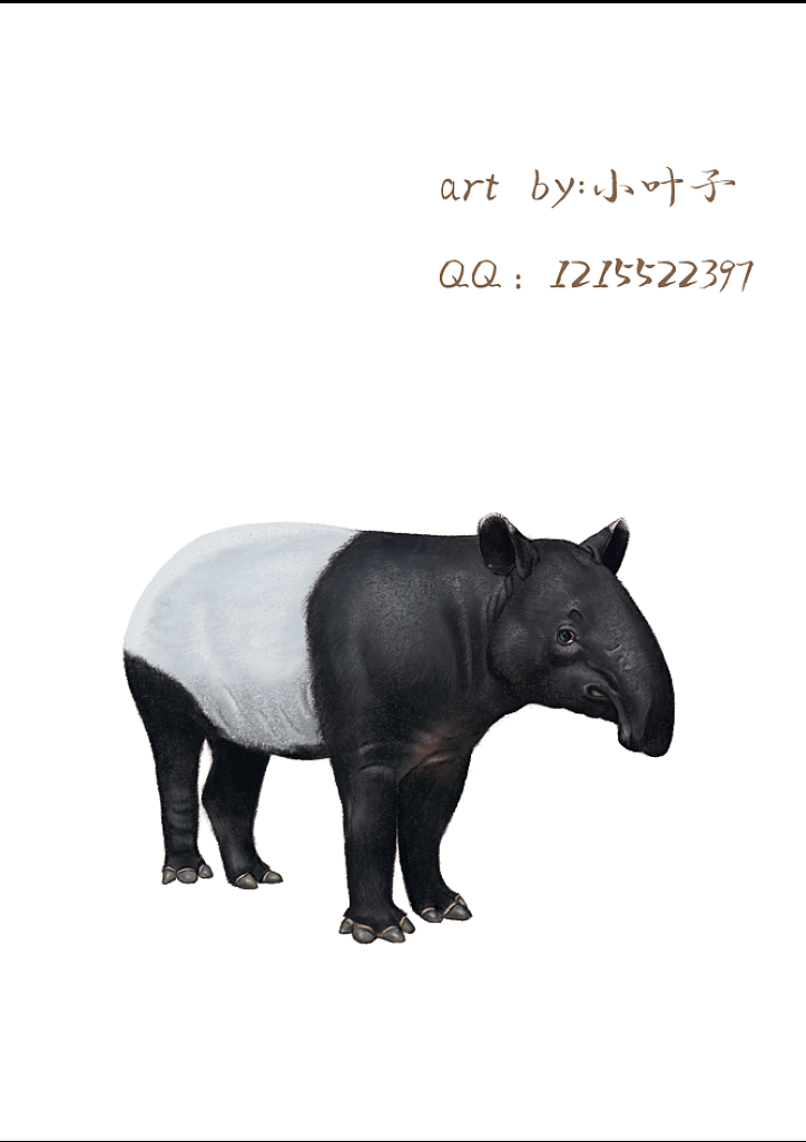 彩铅动物昆虫（图ZMjI0OTYyNTIw） - 儿童插画 - 站酷设计师小小叶子画画啦原创素材 - 站酷ZCOOL