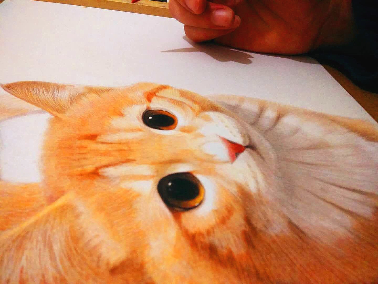 小橘猫（图ZMTA1NjEwMzI0） - 绘画 - 站酷设计师李少侠原创素材 - 站酷ZCOOL