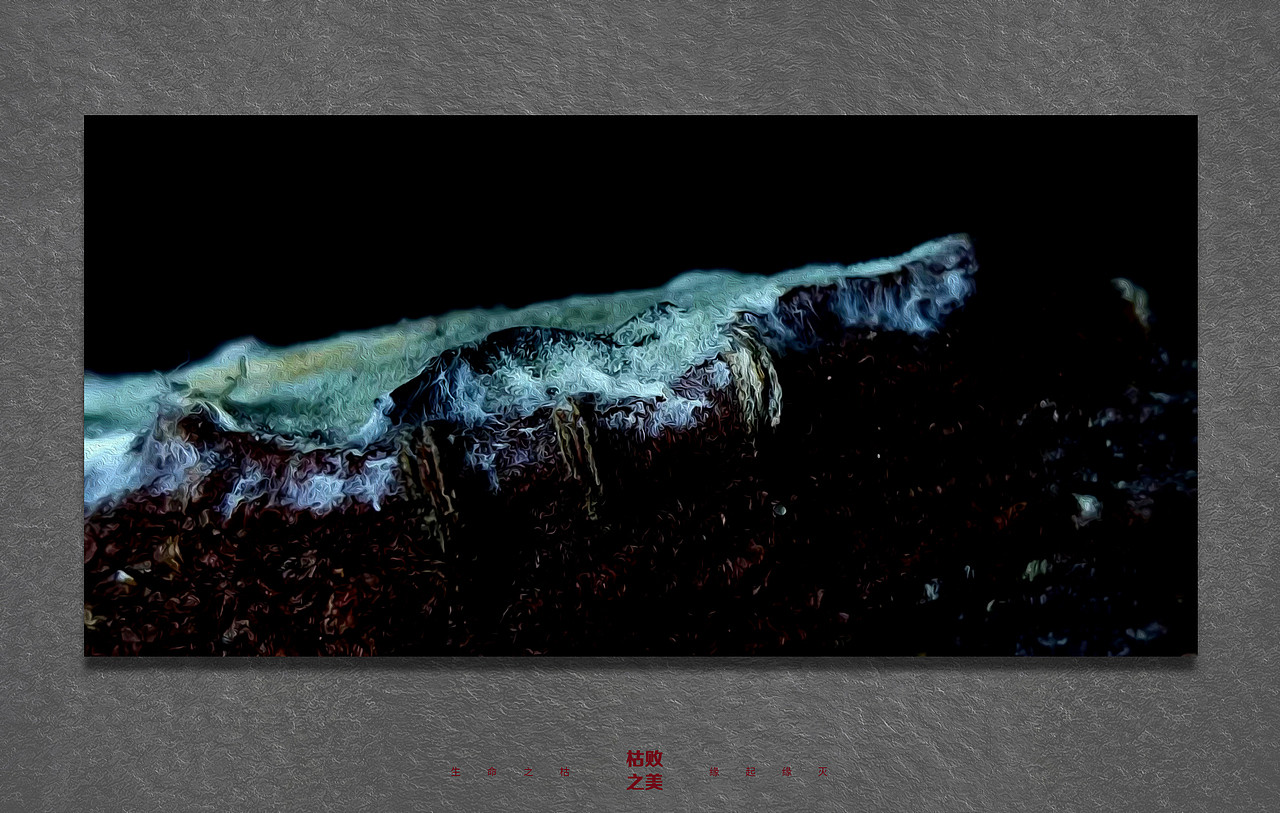 生命1（图ZMTgwOTI2MzAw） - 产品摄影 - 站酷设计师如画山丘原创素材 - 站酷ZCOOL