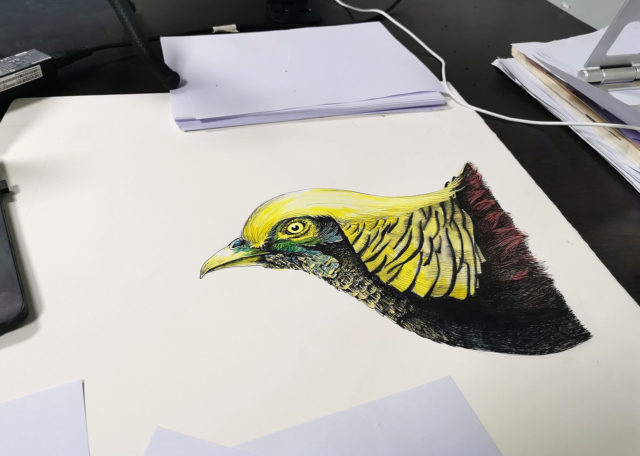 手绘作品集（图ZMzY2MDE5NzEy） - 绘画 - 站酷设计师彭青云原创素材 - 站酷ZCOOL