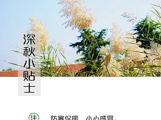 我们学校的日历