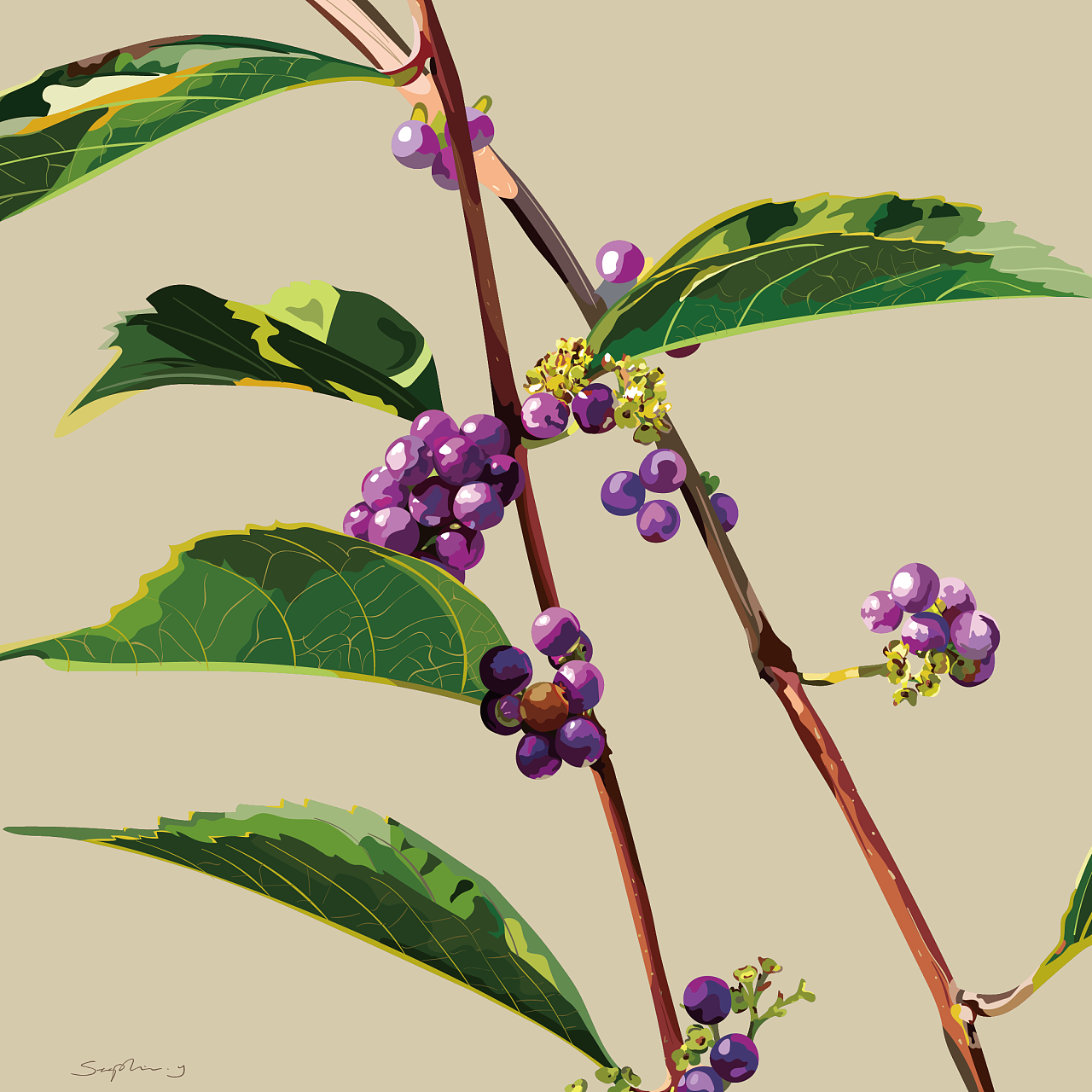 我画过的花卉植物汇总(集)