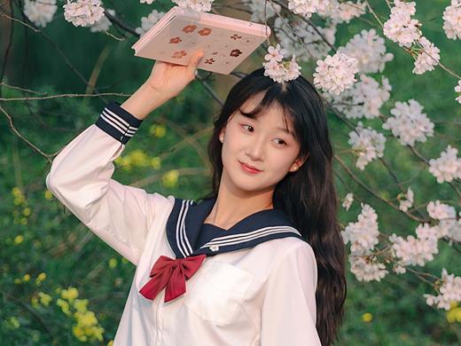 遇见 春日 樱花