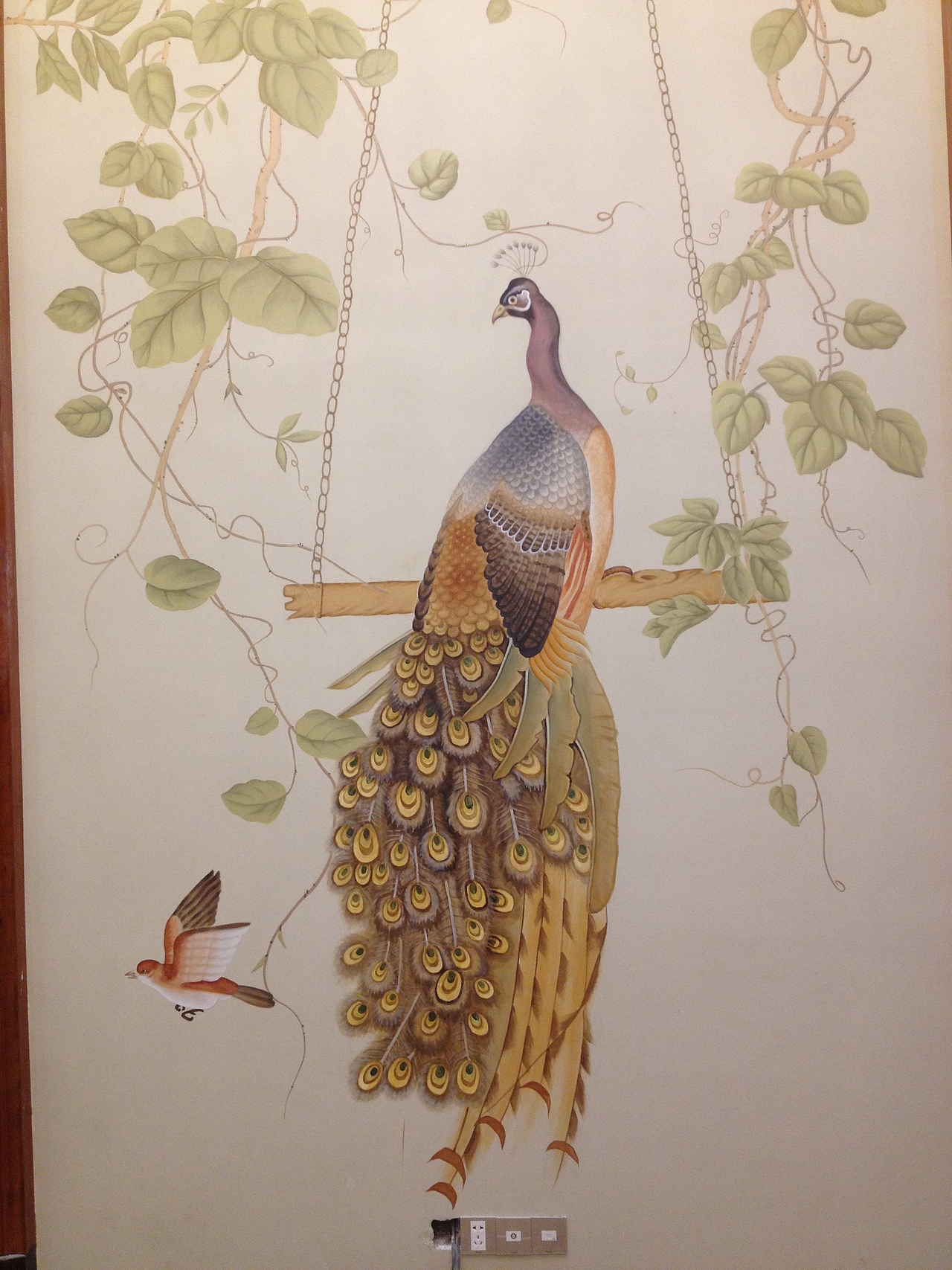 家装墙绘孔雀工笔画