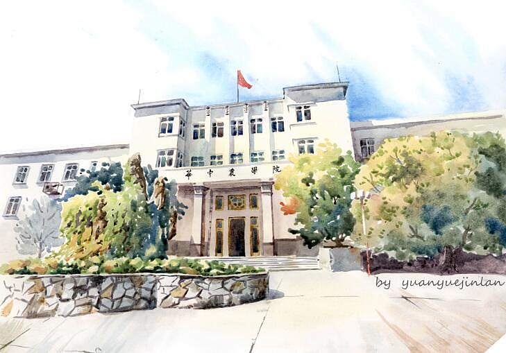 武汉水彩Part. 03