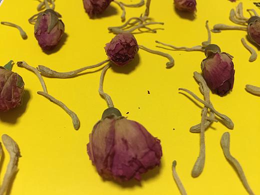 玫瑰花/金银花在不同颜色书皮上的排列组合