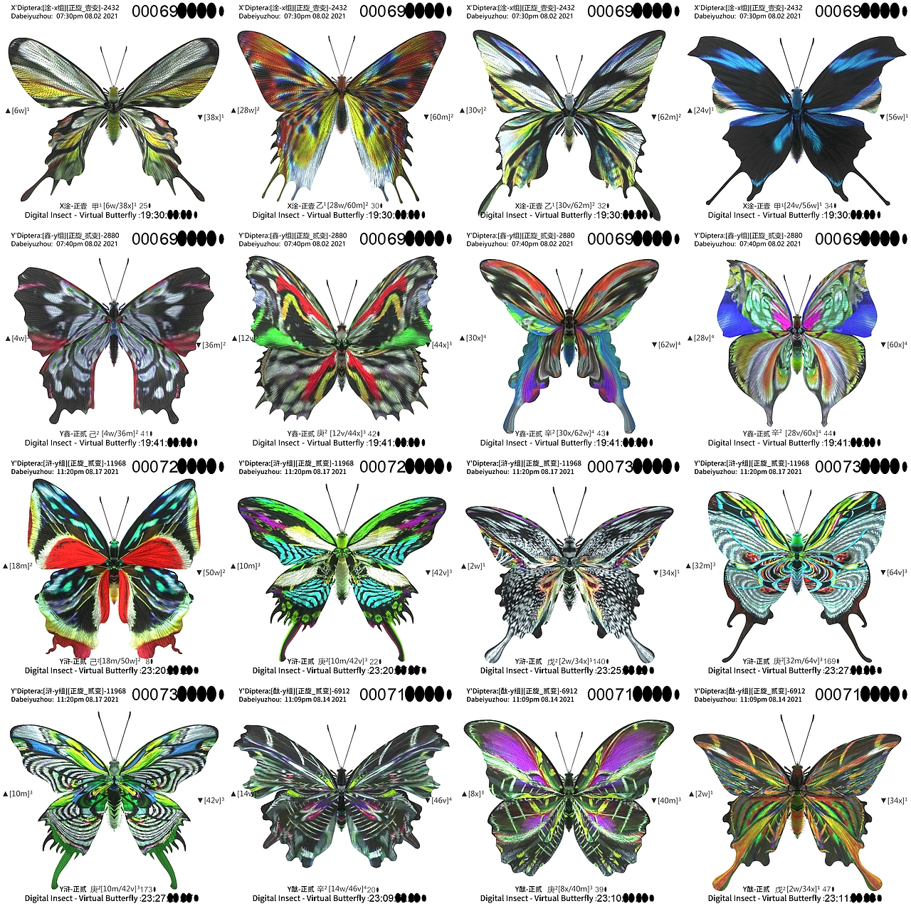 用互联之网捕捉虚拟蝴蝶