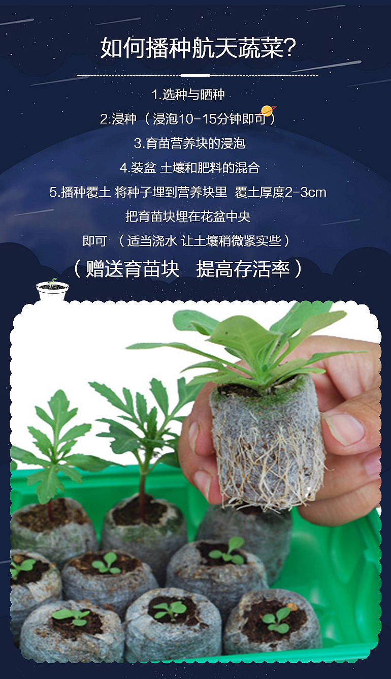 神奇太空种子多花大果实蔬菜（图ZODI2MDgzOTI=） - 电商 - 站酷设计师龙观科技原创素材 - 站酷ZCOOL