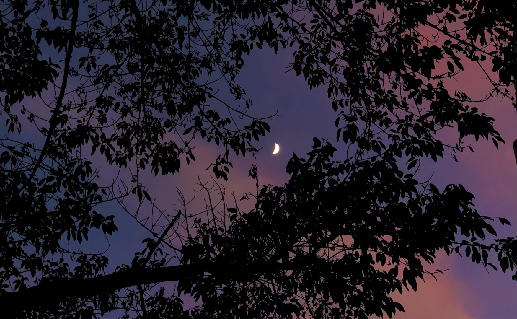 熊猫567的个人主页（封面预览） - 主页封面设置 - 站酷设计师熊猫567原创素材 - 站酷ZCOOL