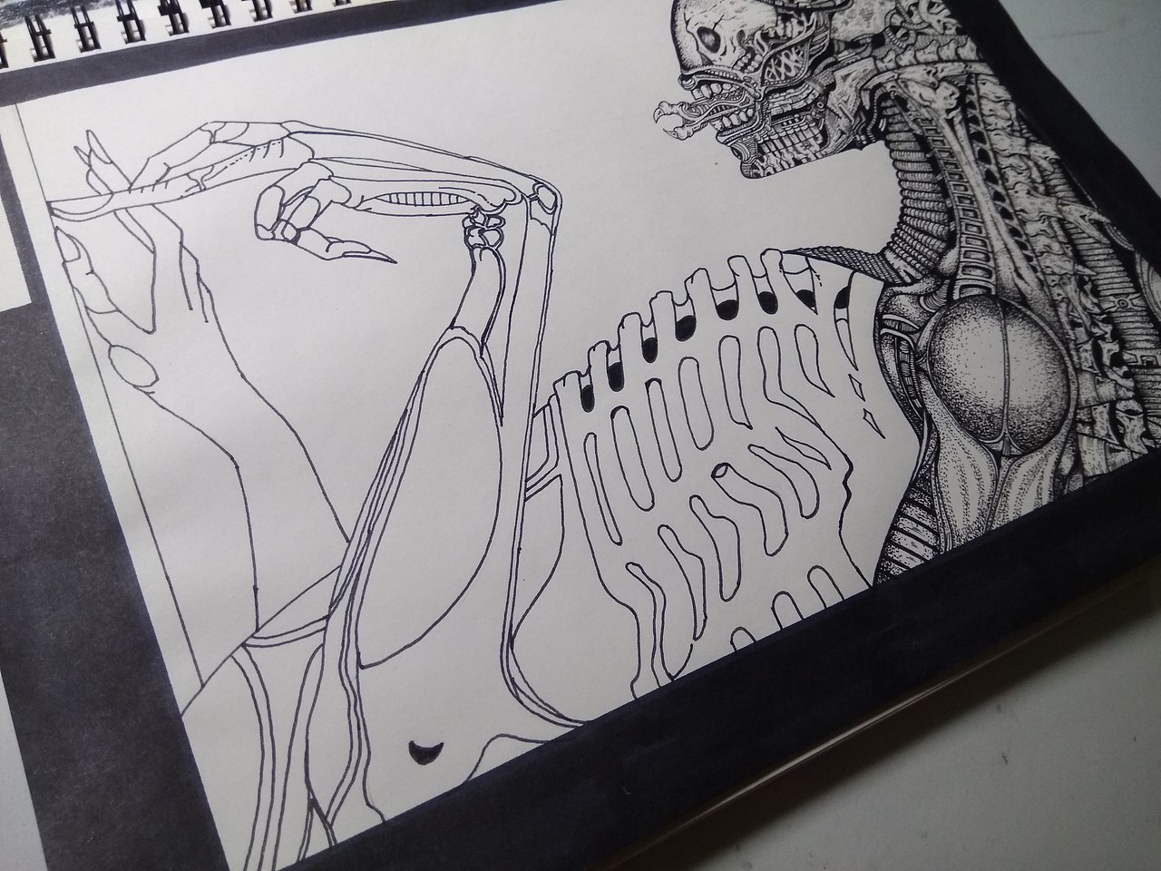 20191017异形线稿练习