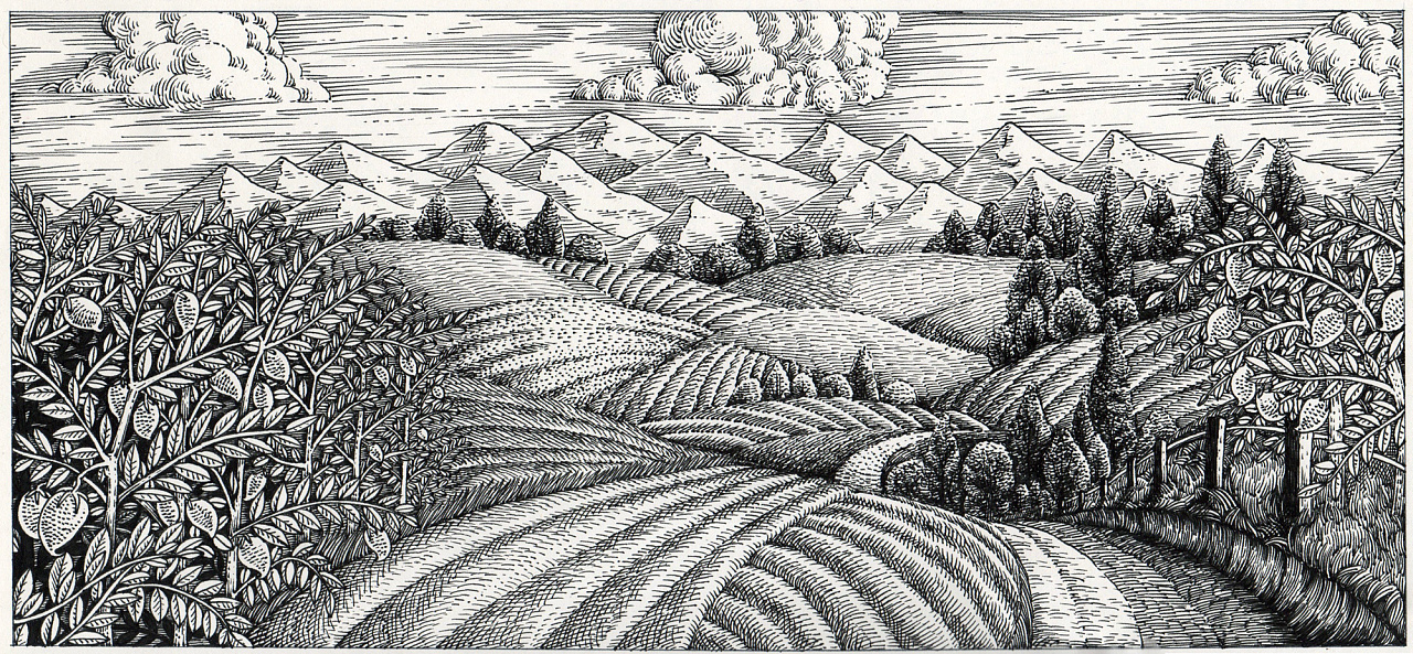 《田园风光》手绘过程