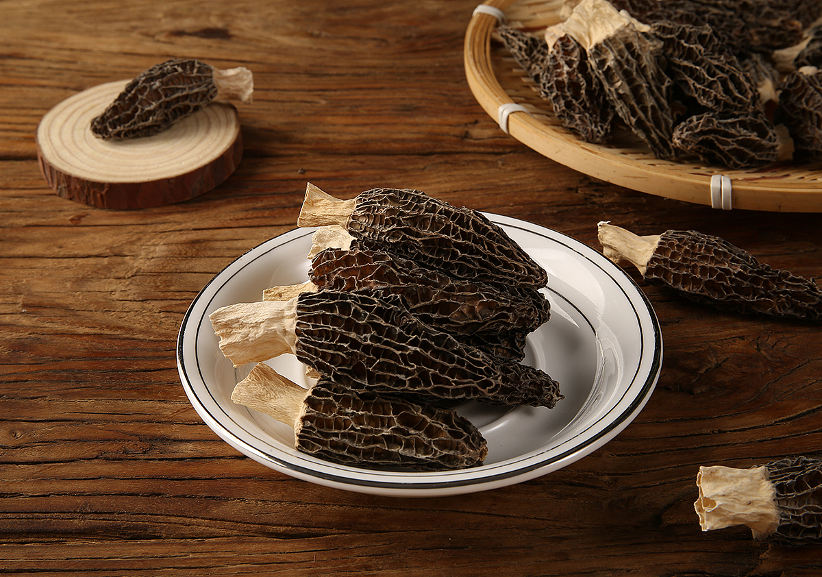 羊肚菌拍摄摄影