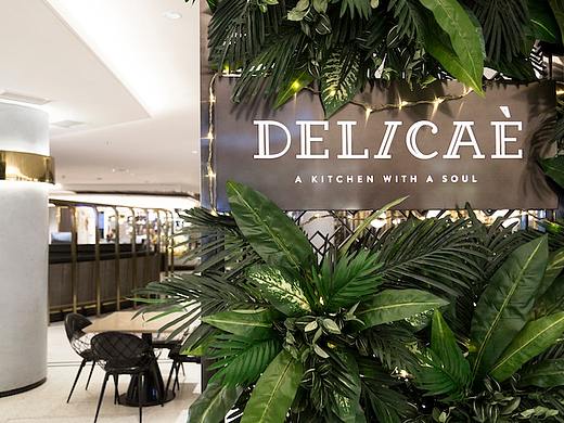 Delicae美食广场导视系统设计