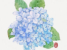 近期練習(xí)（花卉類）