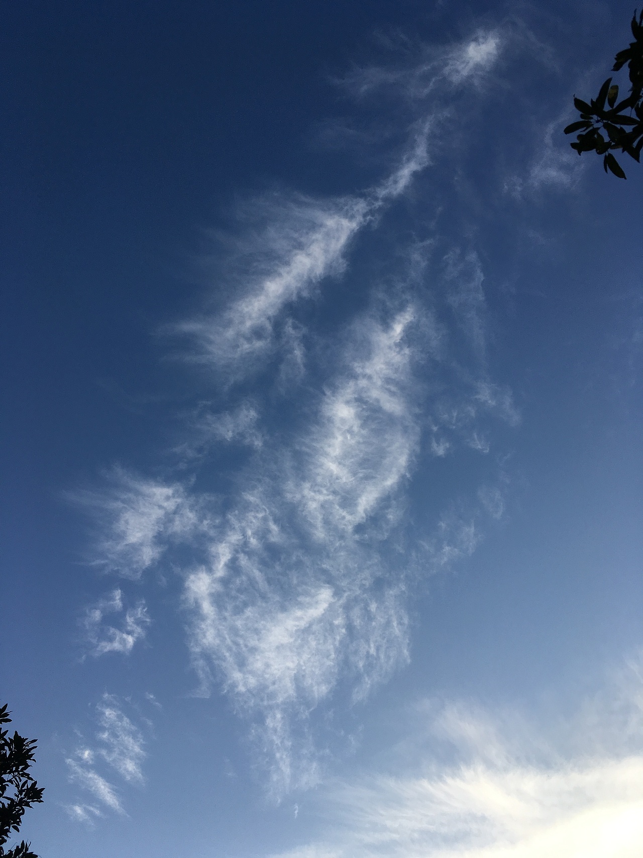 有趣的美好的一瞬间—手机摄影