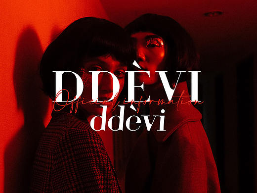 DDEVI女装品牌VI设计