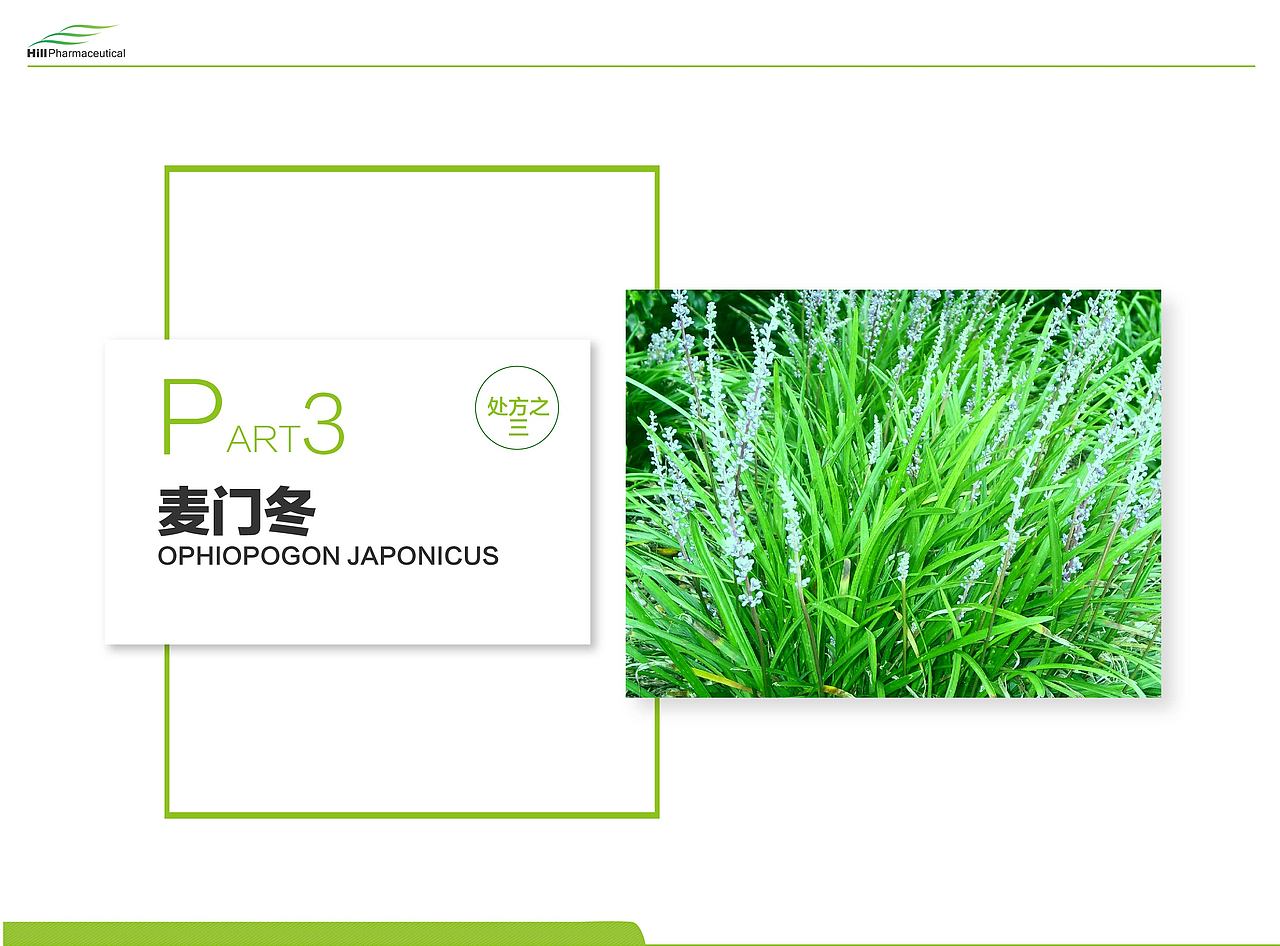 方案策划|产品PPT宣传设计