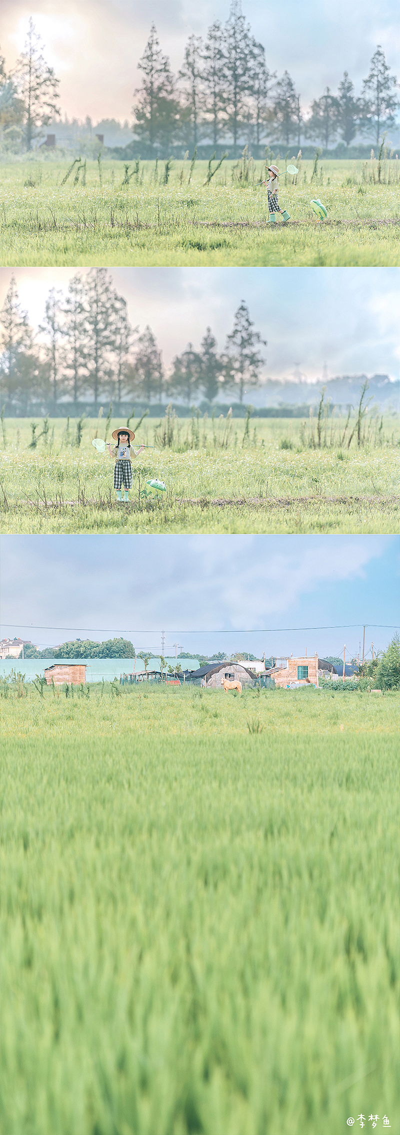 去年夏天的某天