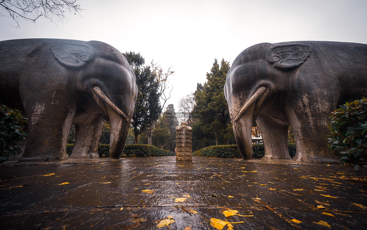 南京之行（图ZMTg4NzI5Mzk2） - 风光摄影 - 站酷设计师摄影师大Q原创素材 - 站酷ZCOOL