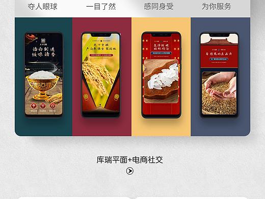 皇家大米电商详情（个人主页-ZNTM5ODI0ODQ=） - 品牌 - 站酷设计师库瑞创意设计原创素材 - 站酷ZCOOL