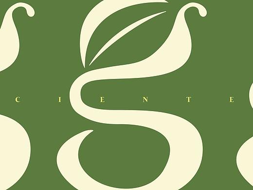 ACIENTEA古茶 品牌设计BRAND DESIGN