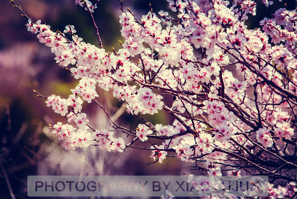 【存照】20150405放疯症的少年（图ZMzIyOTIwNzI=） - 人像摄影 - 站酷设计师火锅肥牛面原创素材 - 站酷ZCOOL