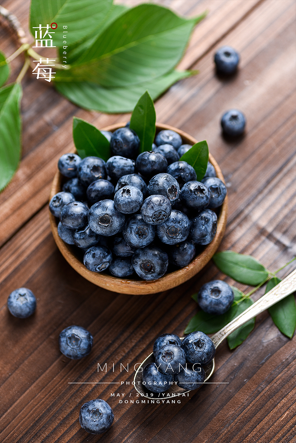 蓝莓水果