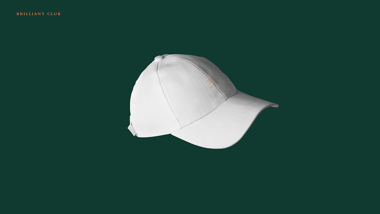 logo提案（图ZMTY3ODE3NjA4） - Logo - 站酷设计师designping原创素材 - 站酷ZCOOL